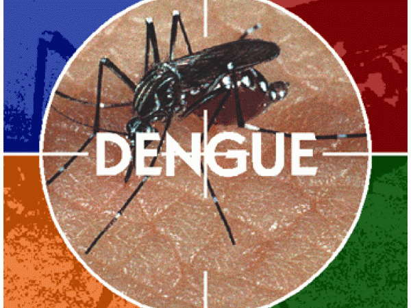 dengue_na_bahia