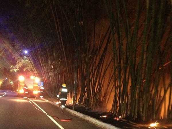 Fogo atingiu bambuzal na noite de quarta-feira (6)