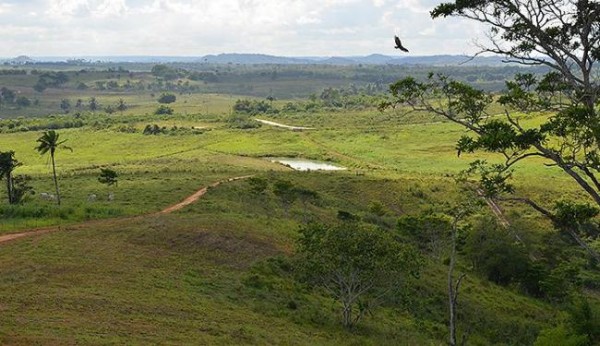 Terreno pertencente a fazenda em São Francisco foi cedido à FAB