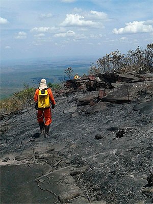 Chapada Brigadistas