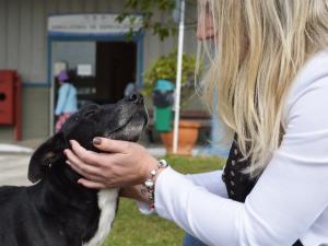 O animal é muito bem tratado pelos funcionários do hospital, que ficaram tocados com o amor do cão. (Foto: Reprodução / Luiz Souza / RBS TV)