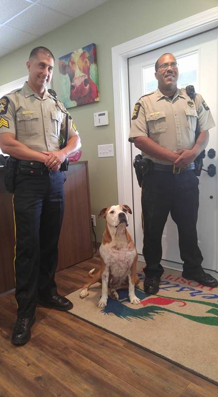 O cão foi resgatado por dois policiais Foto: Reprodução do Facebook