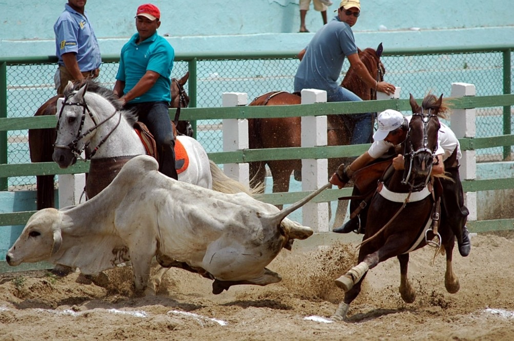 vaquejada