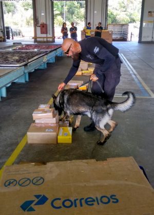 Operação contou com o auxílio de cães farejadores (Foto: Divulgação/ Polícia Civil)