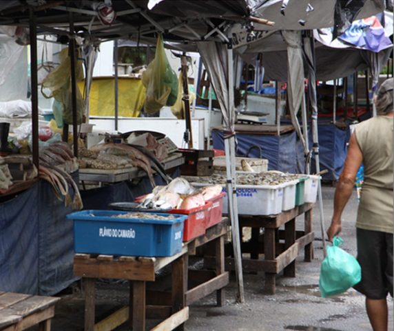Venda de peixes cai 50% após surto de doença misteriosa