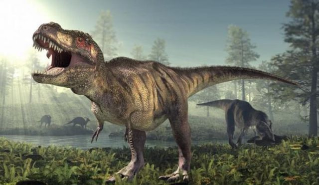 Dinossauros de 145 milhões de anos são achados na China