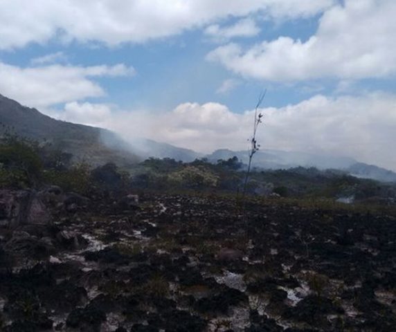 Incêndio atinge há quatro dias Parque Nacional da Chapada