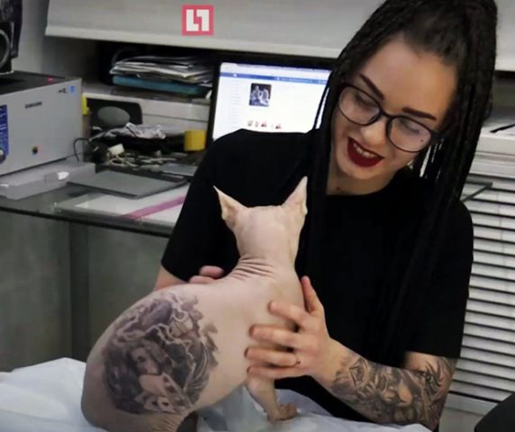 Homem tatua gato de estimação e causa revolta na web