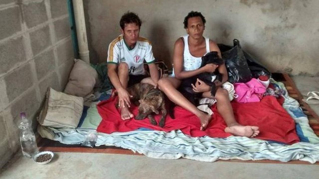 Casal viaja mais de 80 km a pé para não abandonar cachorros
