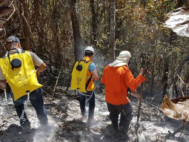 Madre de Deus: Incêndio atinge região da Ilha de Maria Guarda