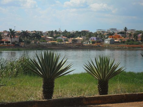 Confirmada morte por raiva humana na Bahia