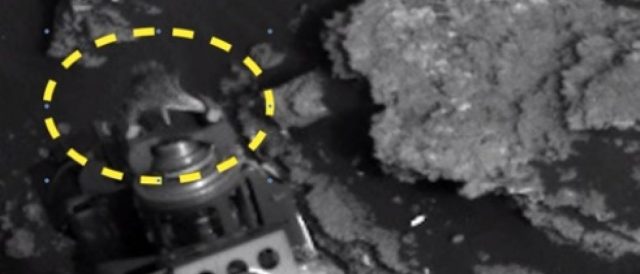 Criatura extraterrestre é flagrada em Marte em cima de sonda