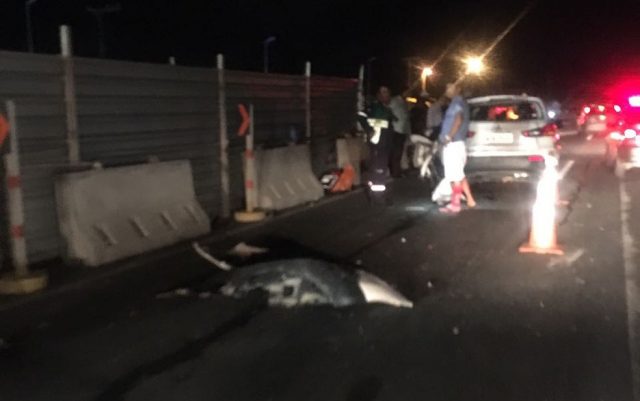 Mãe e filho morrem após acidente na Estrada do Coco