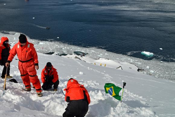 Cientistas estudam fungos da Antártica em busca de medicamento contra dengue