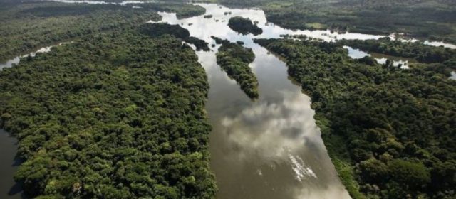 Governo de Temer revoga decreto que acabaria com área preservada na Amazônia