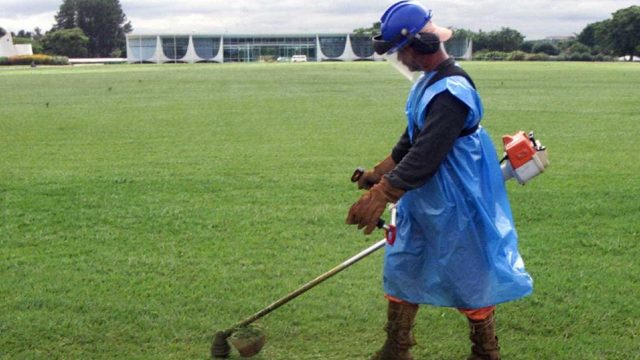Presidência gasta R$ 1,1 milhão com serviços de paisagismo e jardinagem