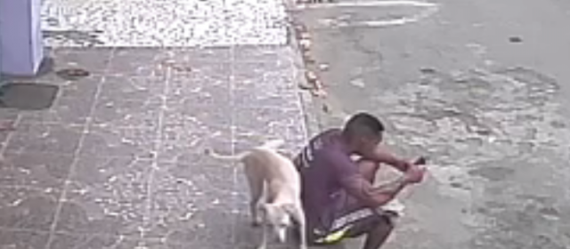  Homem adota cachorro que aparece em vídeo urinando em suas costas; “Agora tem lar”