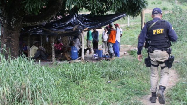 Fazenda flagrada com trabalho escravo na Bahia vai pagar rescisão