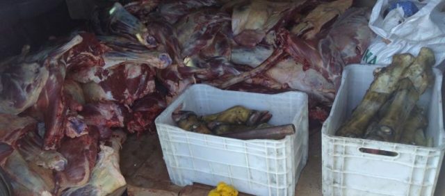  Durante fiscalização, uma tonelada e meia de carne adulterada é apreendida no interior do estado