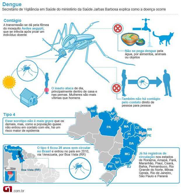 iNFO DENGUE (Foto: Arte/G1)