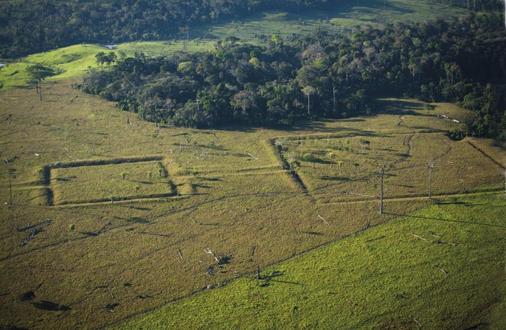 A arqueologia na Amazônia e o destino da floresta em destaque na 2ª Conferência FAPESP de 2024