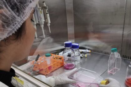 Potencial antiviral contra o zika encontrado na nanoemulsão de óleo de copaíba