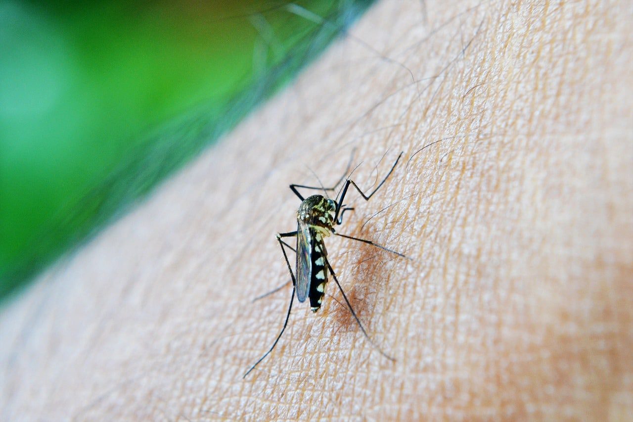 Epidemia de dengue atinge Salvador, cidade entra para lista.