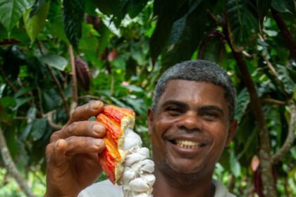 Investimento sustentável do cacau: Bahia da amêndoa ao chocolate