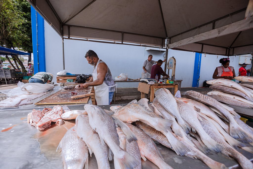 Horário da Feira do Peixe: confira