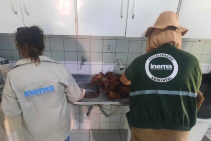 Inema doa alimentos apreendidos durante fiscalização do defeso.