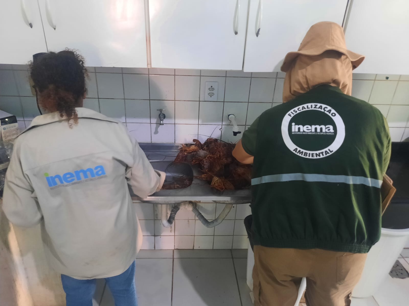 Inema doa alimentos apreendidos durante fiscalização do defeso.