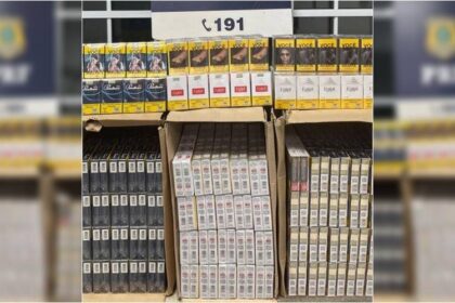 Mais de 2 mil maços de cigarros ilegais apreendidos em Vitória da Conquista
