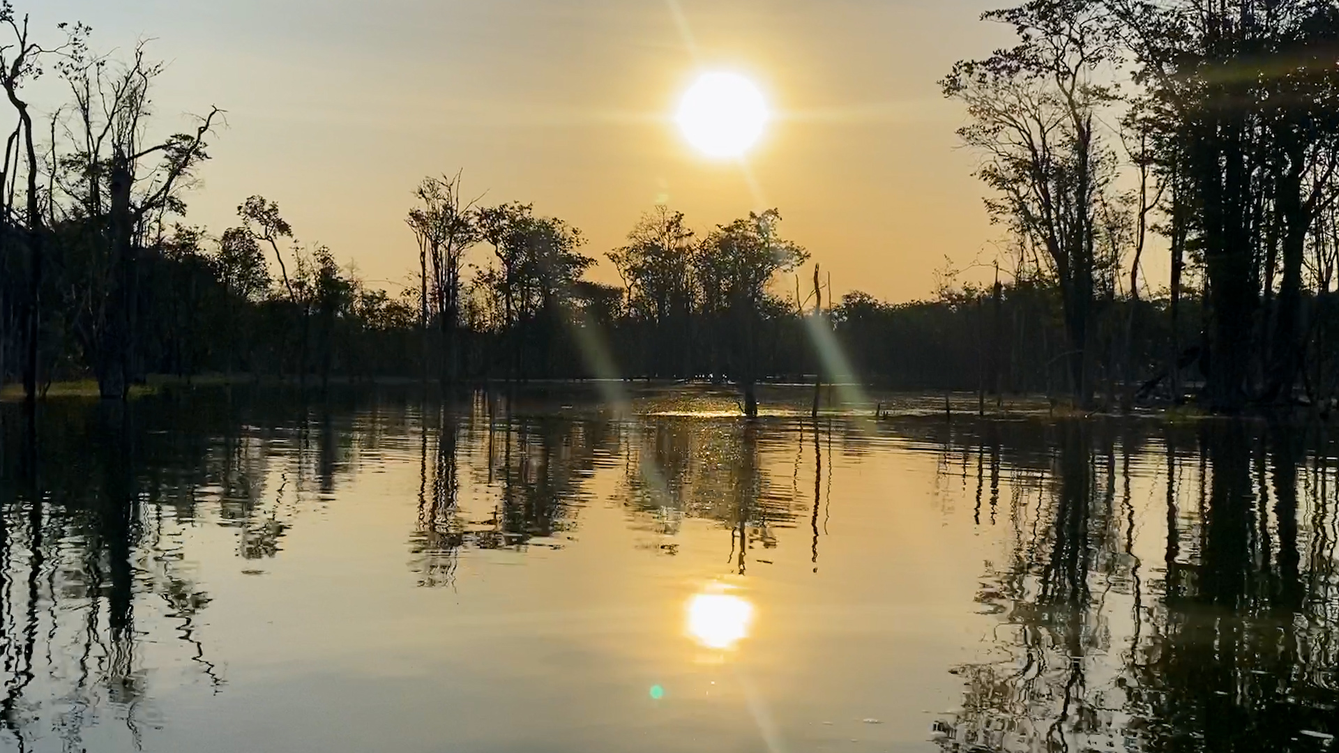 Encerramento da Expedição: Mais de 130 espécies de peixes coletadas no Diário de Campo - Capítulo 7