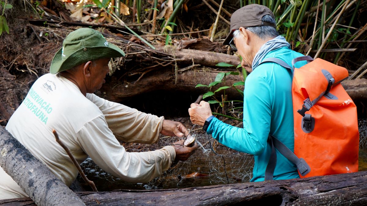 Resultados da Expedição: Coleta de mais de 130 espécies de peixes no Capítulo 7