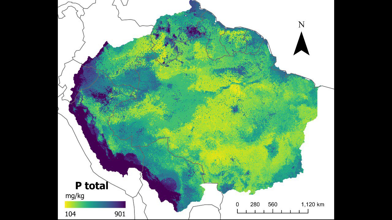 Mapas com IA comprovam baixa presença de fósforo no solo da Amazônia