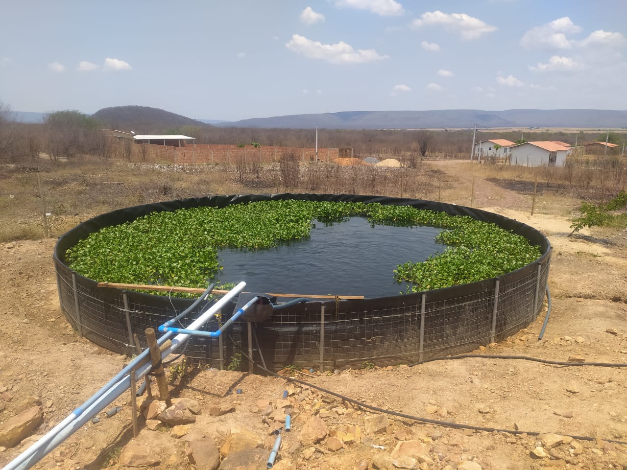 Sistema de recirculação impulsiona produção de peixes em Muquém de São Francisco