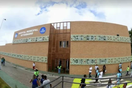 Hospital Veterinário de Salvador atinge 1 mês com mais de 2 mil atendimentos
