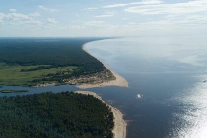 Bateria osmótica pode transformar estuários em fonte de energia sustentável