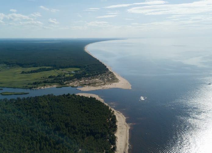 Bateria osmótica pode transformar estuários em fonte de energia sustentável