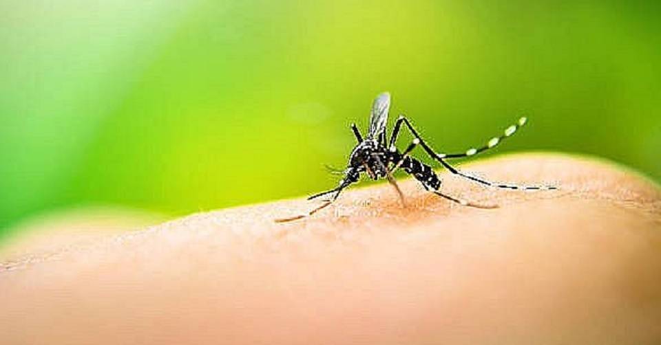 64 mortes por dengue na Bahia em 2024