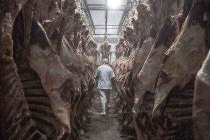 Índice de preço de alimentos da FAO sobe 0,3% em abril, com destaque para carnes