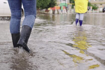 Surtos de sarna, piolho e parasitas preocupam RS; veja prevenção