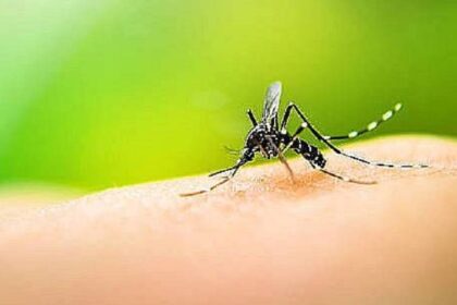 Número de óbitos por dengue na Bahia alcança 56 este ano.