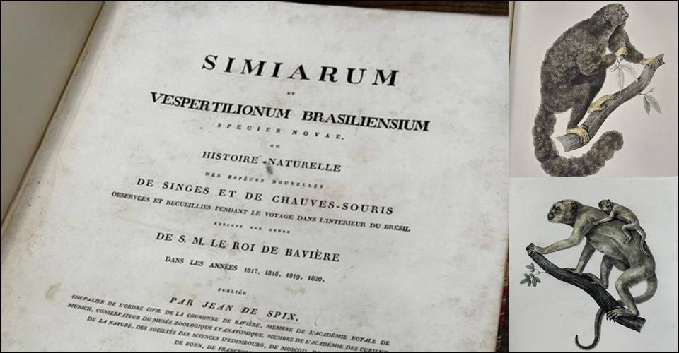 PF recupera em Londres livro de 1823 furtado de museu no Pará