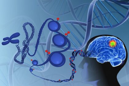 Tratamento de câncer de cérebro altera o comportamento do DNA tumoral: descubra como