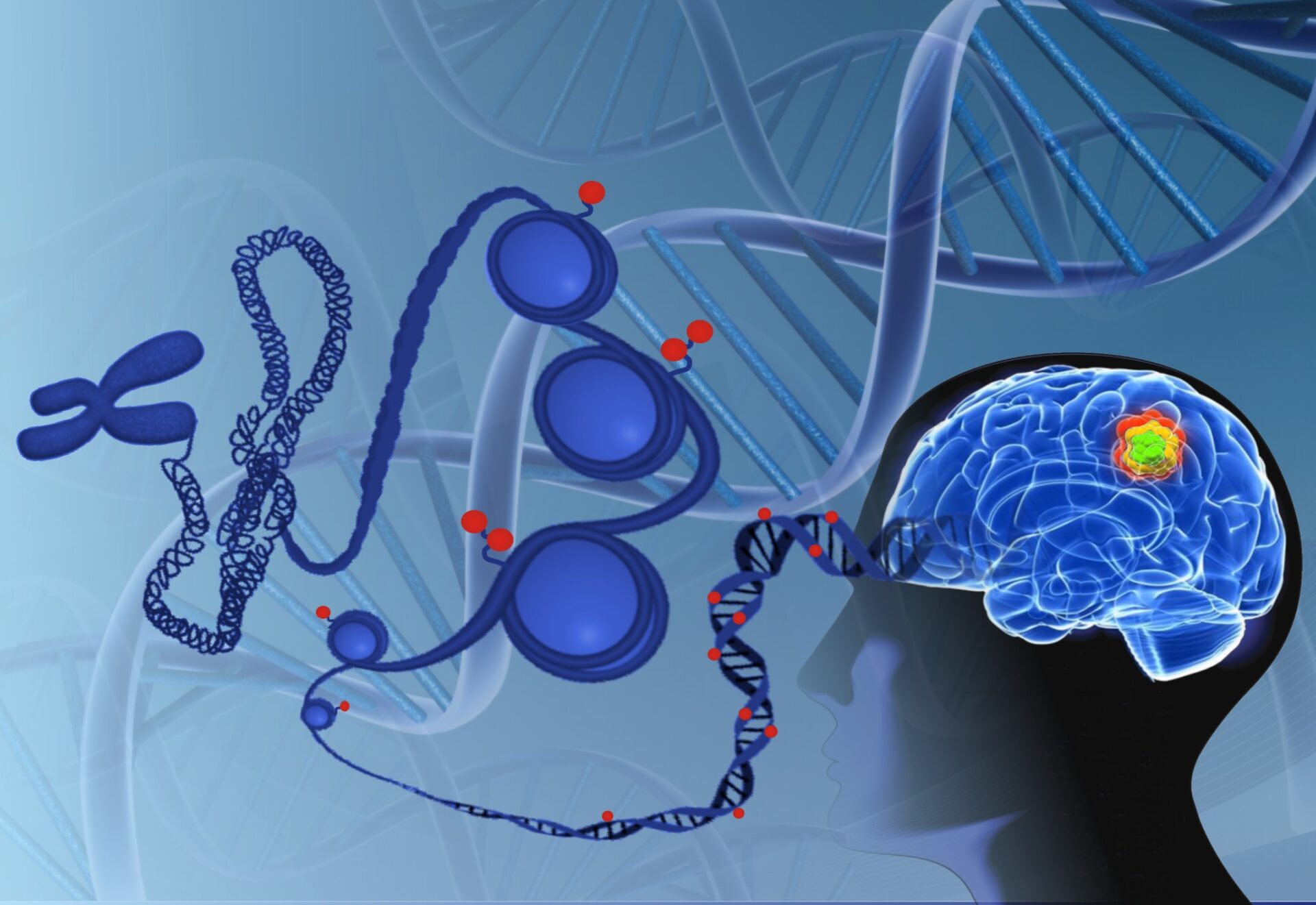 Tratamento de câncer de cérebro altera o comportamento do DNA tumoral: descubra como