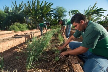 Governo da Bahia investirá R$ 225 milhões em ATER para a agricultura familiar