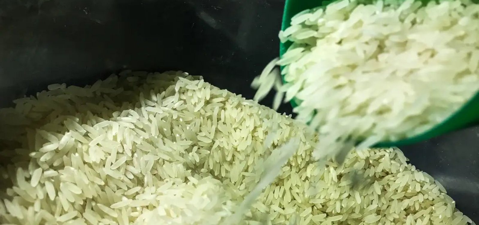 Polícia Federal abre investigação sobre leilão de arroz