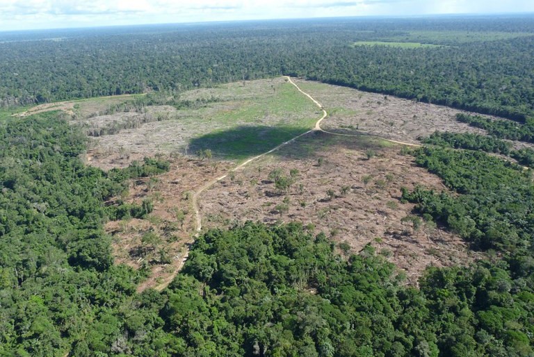 Impacto do desmatamento na Amazônia é maior devido às demandas do centro-sul do Brasil do que pelas exportações.