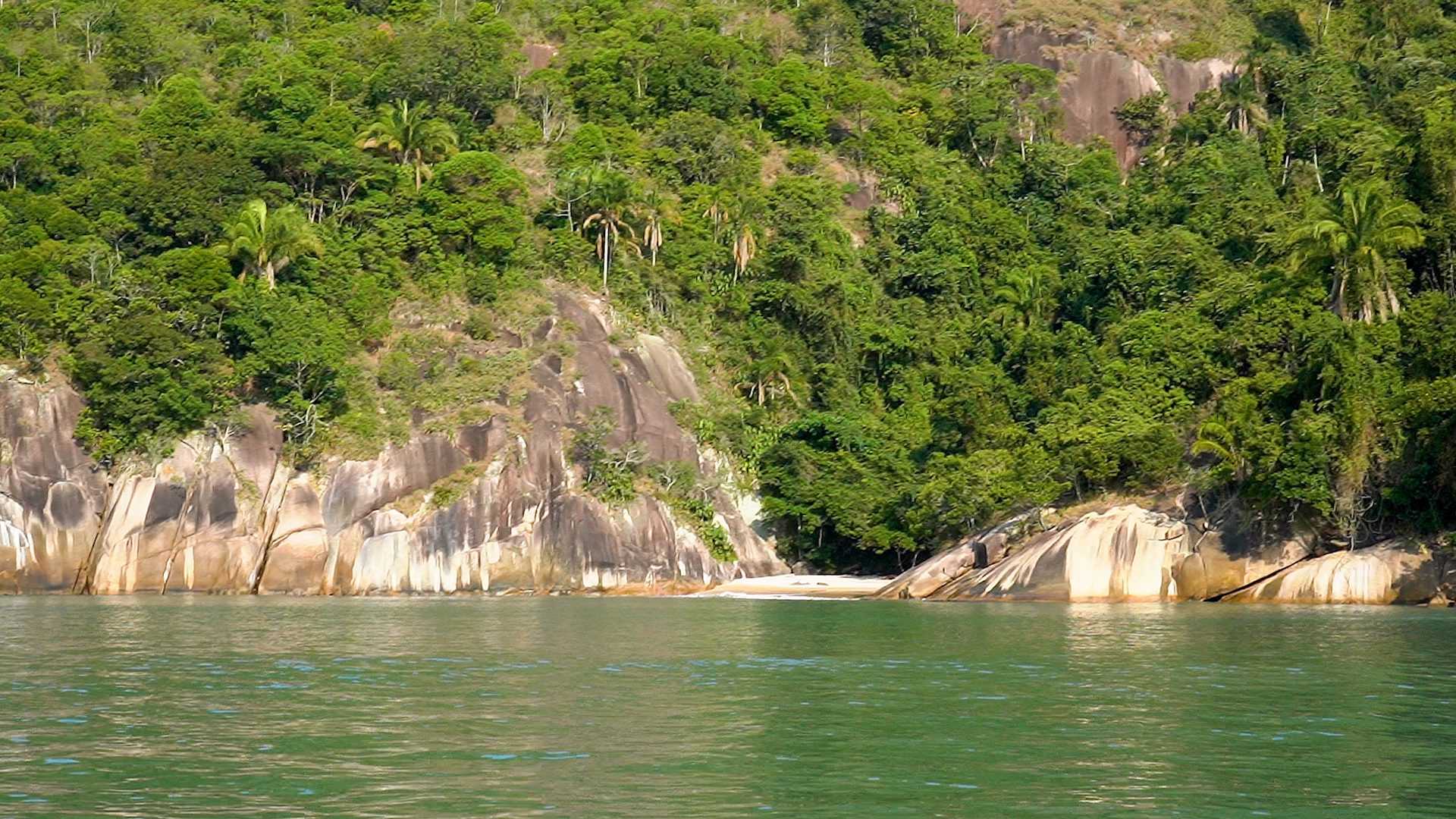 Importância dos fatores ambientais na biodiversidade da costa sudeste do Brasil: um estudo comparativo com processos ecológicos.